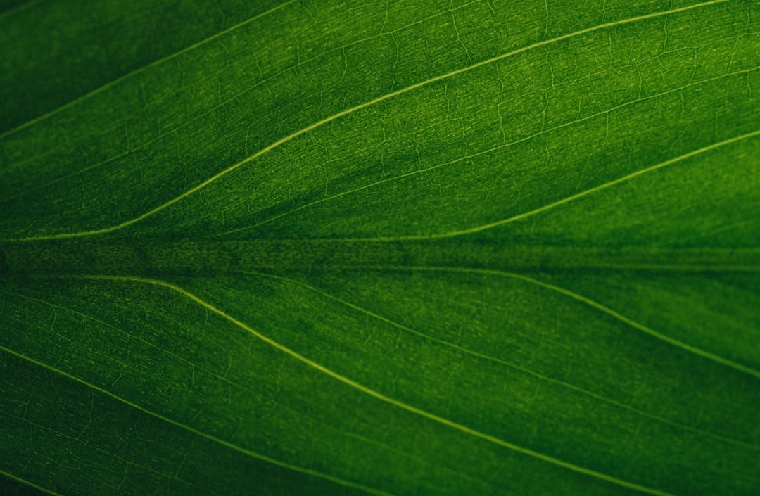 Green IT: Hướng dẫn toàn diện 13-06-2025
